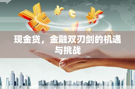 松北现金贷，金融双刃剑的机遇与挑战