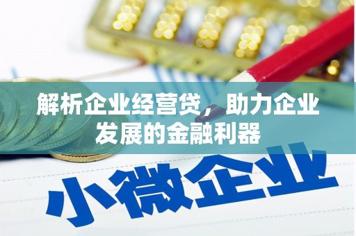 松北解析企业经营贷，助力企业发展的金融利器