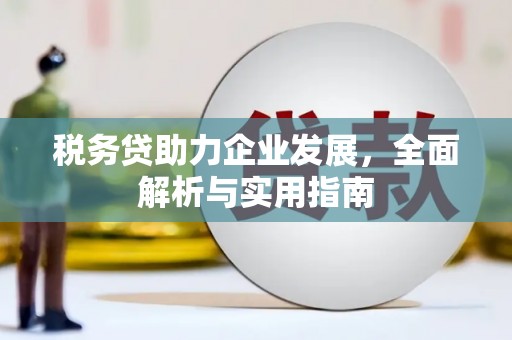 松北税务贷助力企业发展，全面解析与实用指南
