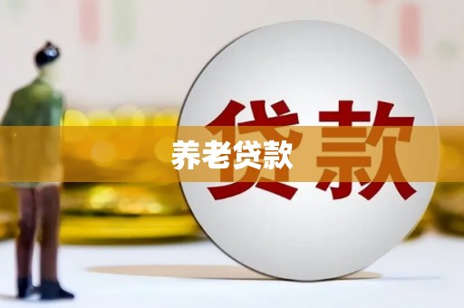松北养老贷款
