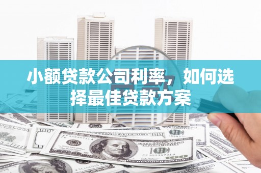 松北小额贷款公司利率，如何选择最佳贷款方案