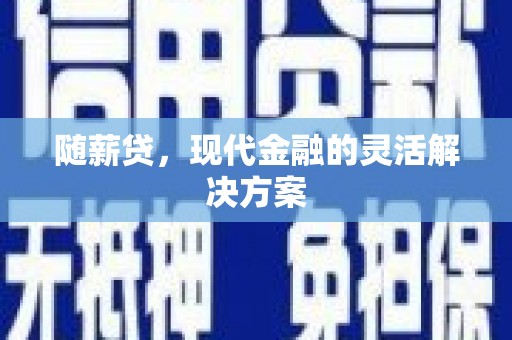 松北随薪贷，现代金融的灵活解决方案