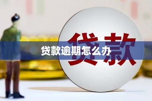 松北贷款逾期怎么办