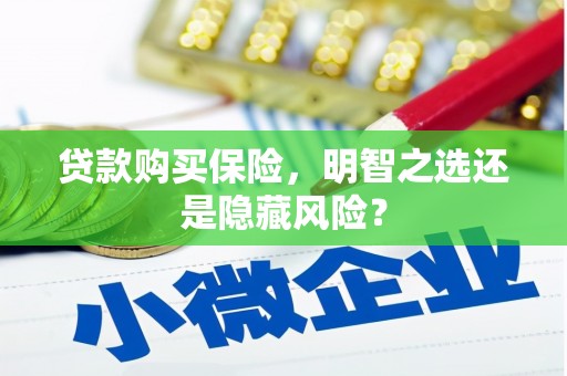 松北贷款购买保险，明智之选还是隐藏风险？