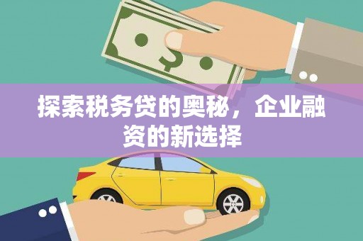 松北探索税务贷的奥秘，企业融资的新选择