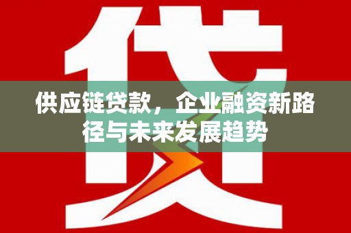 松北供应链贷款，企业融资新路径与未来发展趋势