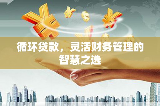 松北循环贷款，灵活财务管理的智慧之选