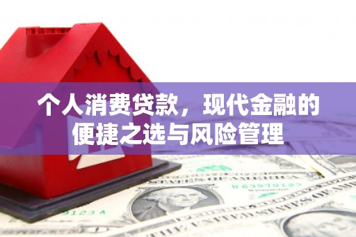 松北个人消费贷款，现代金融的便捷之选与风险管理
