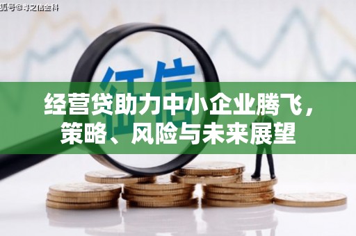 松北经营贷助力中小企业腾飞，策略、风险与未来展望