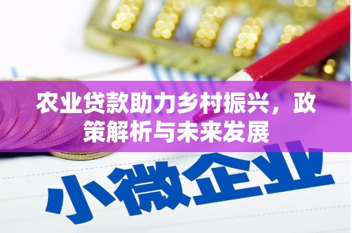 松北农业贷款助力乡村振兴，政策解析与未来发展