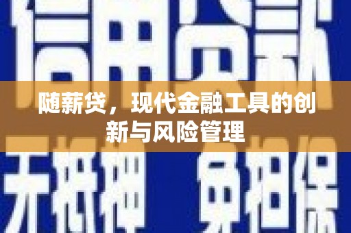 松北随薪贷，现代金融工具的创新与风险管理