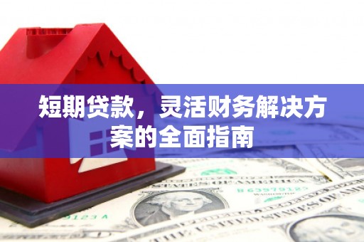 松北短期贷款，灵活财务解决方案的全面指南