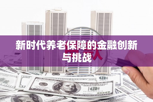 松北新时代养老保障的金融创新与挑战