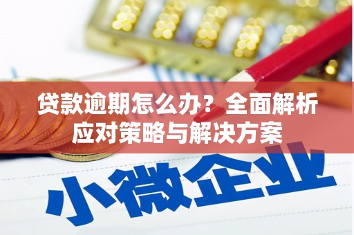松北贷款逾期怎么办？全面解析应对策略与解决方案