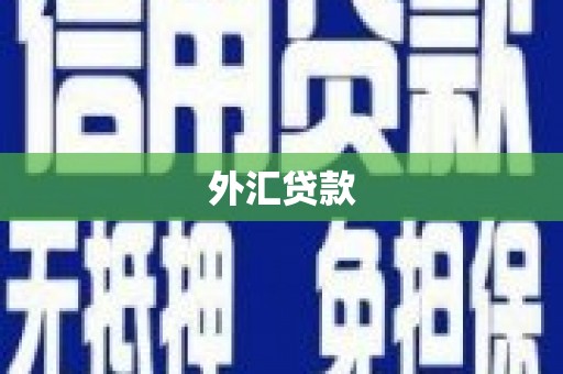 松北外汇贷款