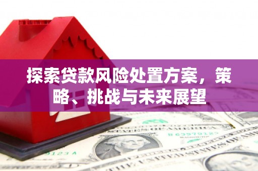 松北探索贷款风险处置方案，策略、挑战与未来展望