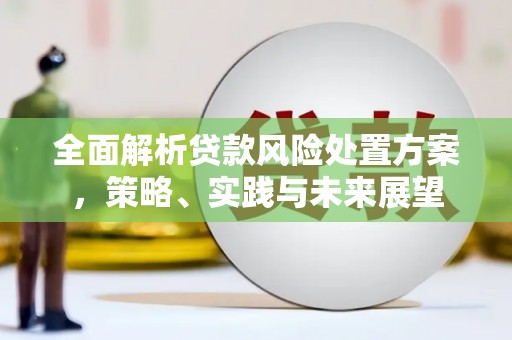 松北全面解析贷款风险处置方案，策略、实践与未来展望