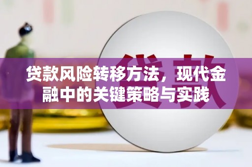 松北贷款风险转移方法，现代金融中的关键策略与实践
