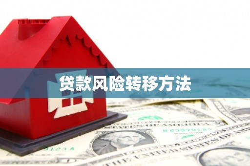 松北贷款风险转移方法