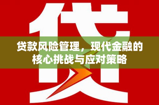 松北贷款风险管理，现代金融的核心挑战与应对策略