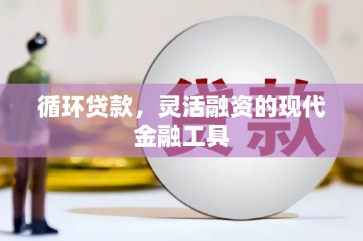 松北循环贷款，灵活融资的现代金融工具