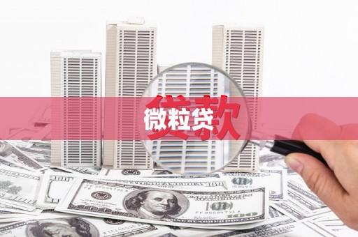 松北微粒贷
