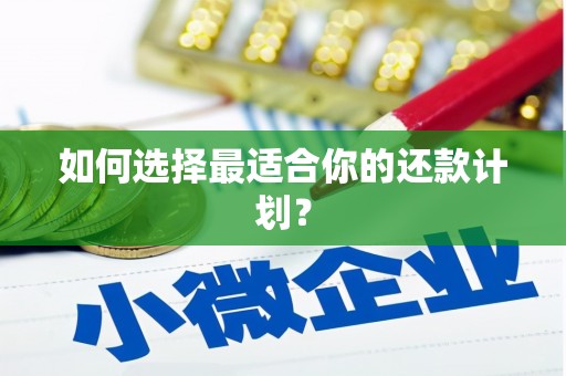松北如何选择最适合你的还款计划？
