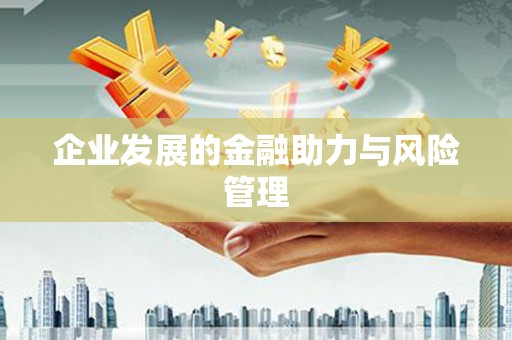 松北企业发展的金融助力与风险管理
