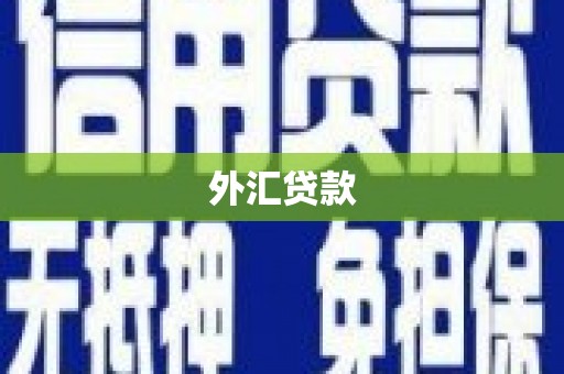 松北外汇贷款