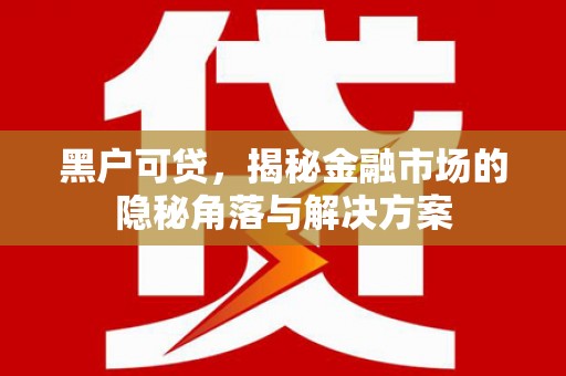 松北黑户可贷，揭秘金融市场的隐秘角落与解决方案