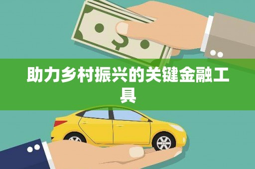 松北助力乡村振兴的关键金融工具