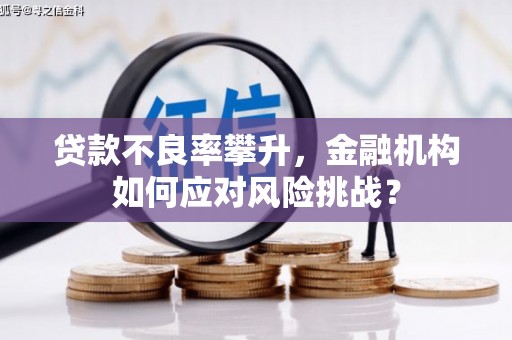 松北贷款不良率攀升，金融机构如何应对风险挑战？