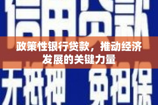 松北政策性银行贷款，推动经济发展的关键力量