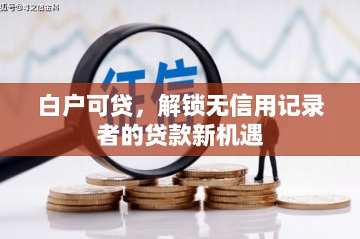 松北白户可贷，解锁无信用记录者的贷款新机遇