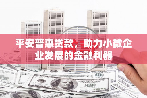 松北平安普惠贷款，助力小微企业发展的金融利器