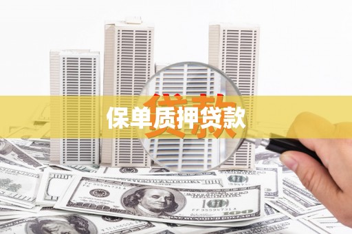 松北保单质押贷款