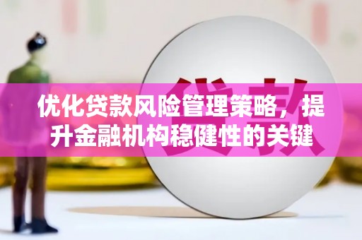 松北优化贷款风险管理策略，提升金融机构稳健性的关键