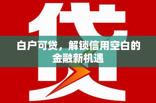 松北白户可贷，解锁信用空白的金融新机遇