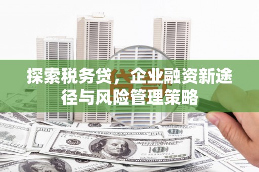 松北探索税务贷，企业融资新途径与风险管理策略