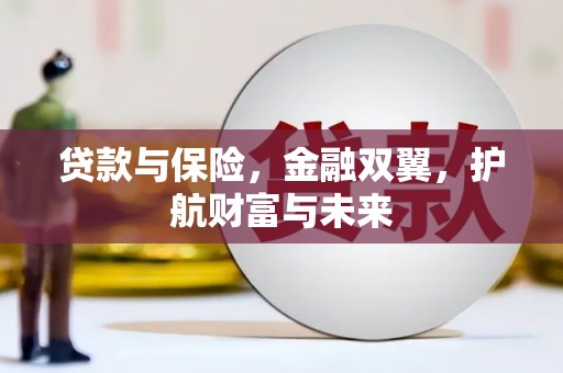 松北贷款与保险，金融双翼，护航财富与未来