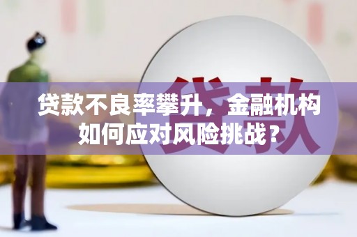 松北贷款不良率攀升，金融机构如何应对风险挑战？