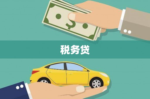 松北税务贷