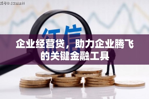 松北企业经营贷，助力企业腾飞的关键金融工具