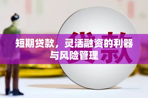 松北短期贷款，灵活融资的利器与风险管理