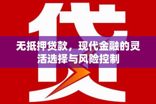 松北无抵押贷款，现代金融的灵活选择与风险控制