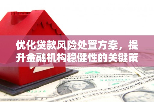松北优化贷款风险处置方案，提升金融机构稳健性的关键策略