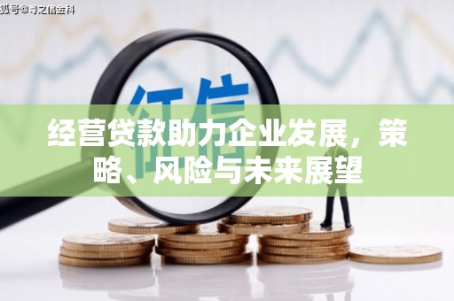 松北经营贷款助力企业发展，策略、风险与未来展望