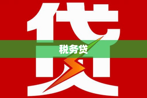 松北税务贷