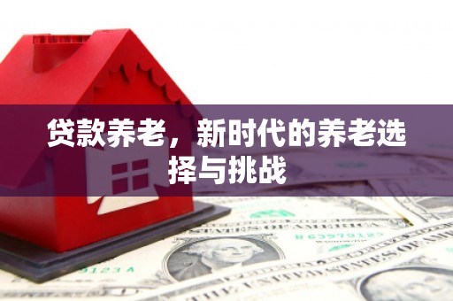 松北贷款养老，新时代的养老选择与挑战