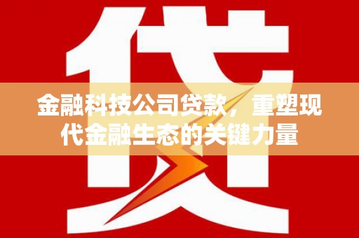 松北金融科技公司贷款，重塑现代金融生态的关键力量